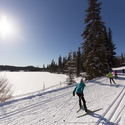 Cross Country Skiing – Jan 25