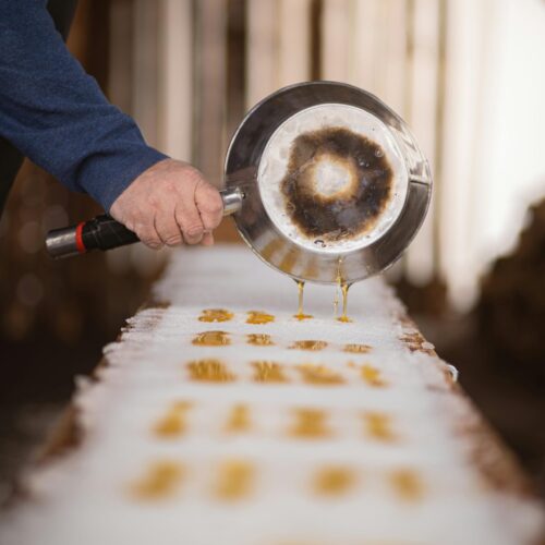 Maple Syrup Event – Mar 1