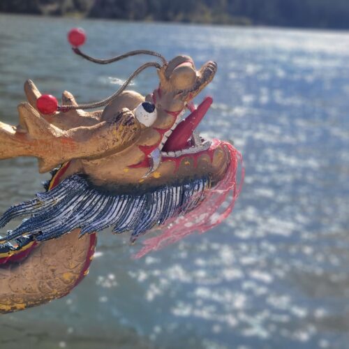 Dragon Boats & Kayaks – May 24