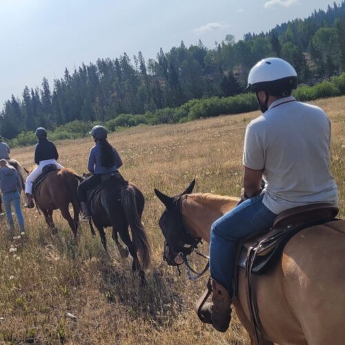 Horses & Trails – May 17