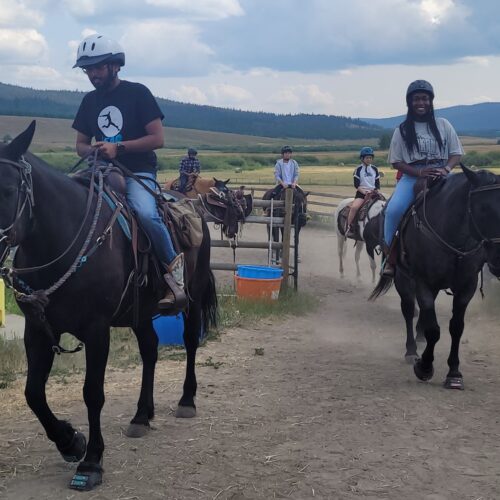 Horses & Trails – May 11