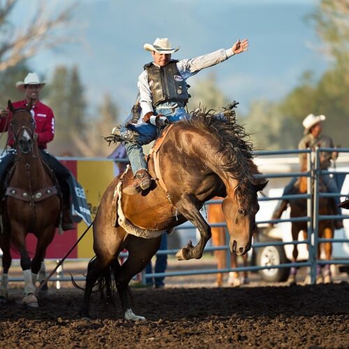 Armstrong Fair – Aug 30