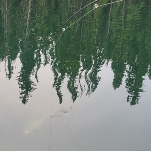 Disc Golf & Fishing – Sept 13